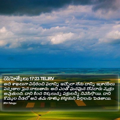 యెహెజ్కేలు 17:23 TELIRV Bible Verse Image