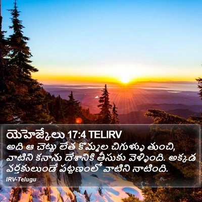యెహెజ్కేలు 17:4 TELIRV Bible Verse Image