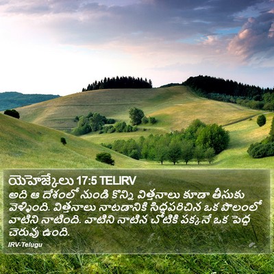 యెహెజ్కేలు 17:5 TELIRV Bible Verse Image