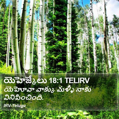 యెహెజ్కేలు 18:1 TELIRV Bible Verse Image