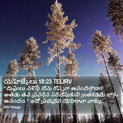 యెహెజ్కేలు 18:23 TELIRV Bible Verse Image