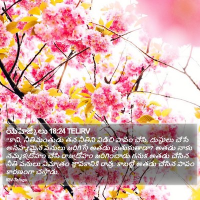 యెహెజ్కేలు 18:24 TELIRV Bible Verse Image