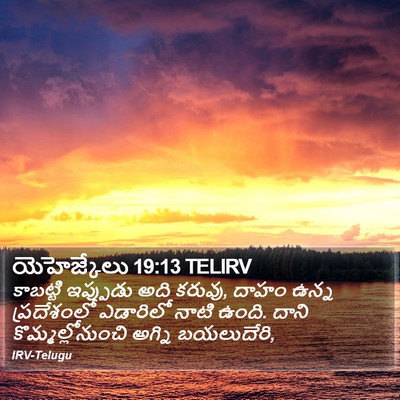 యెహెజ్కేలు 19:13 TELIRV Bible Verse Image