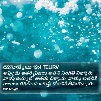 యెహెజ్కేలు 19:4 TELIRV Bible Verse Image