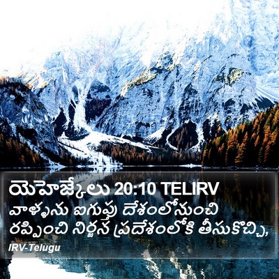 యెహెజ్కేలు 20:10 TELIRV Bible Verse Image