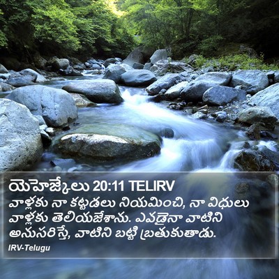 యెహెజ్కేలు 20:11 TELIRV Bible Verse Image