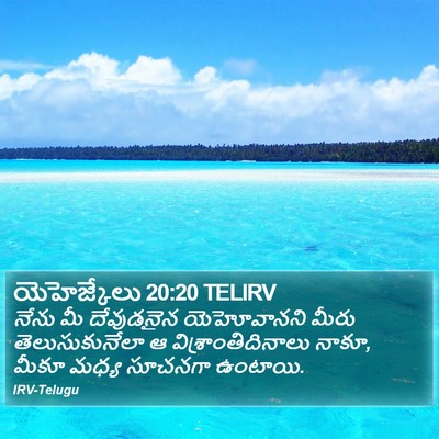 యెహెజ్కేలు 20:20 TELIRV Bible Verse Image
