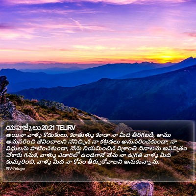 యెహెజ్కేలు 20:21 TELIRV Bible Verse Image