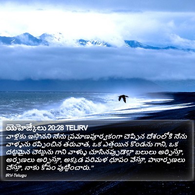 యెహెజ్కేలు 20:28 TELIRV Bible Verse Image