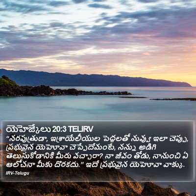 యెహెజ్కేలు 20:3 TELIRV Bible Verse Image
