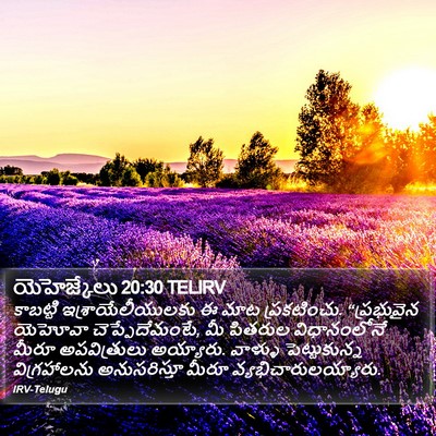 యెహెజ్కేలు 20:30 TELIRV Bible Verse Image