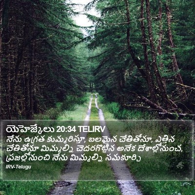 యెహెజ్కేలు 20:34 TELIRV Bible Verse Image