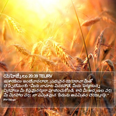 యెహెజ్కేలు 20:39 TELIRV Bible Verse Image