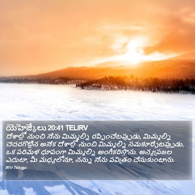 యెహెజ్కేలు 20:41 TELIRV Bible Verse Image