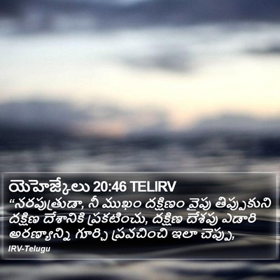 యెహెజ్కేలు 20:46 TELIRV Bible Verse Image