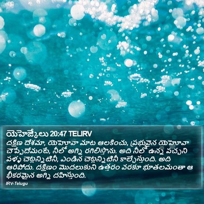 యెహెజ్కేలు 20:47 TELIRV Bible Verse Image