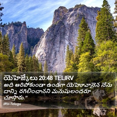 యెహెజ్కేలు 20:48 TELIRV Bible Verse Image