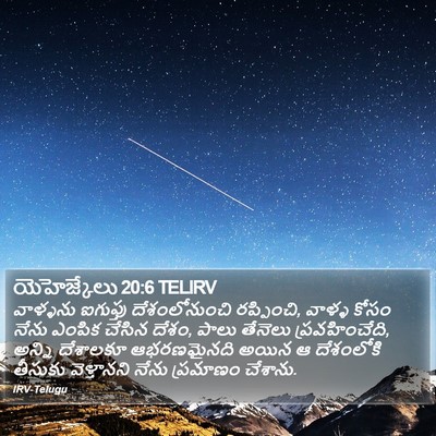 యెహెజ్కేలు 20:6 TELIRV Bible Verse Image