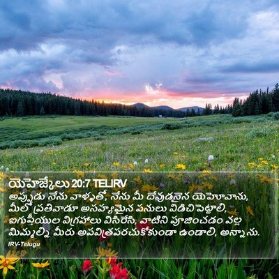 యెహెజ్కేలు 20:7 TELIRV Bible Verse Image