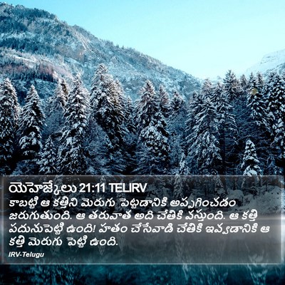 యెహెజ్కేలు 21:11 TELIRV Bible Verse Image