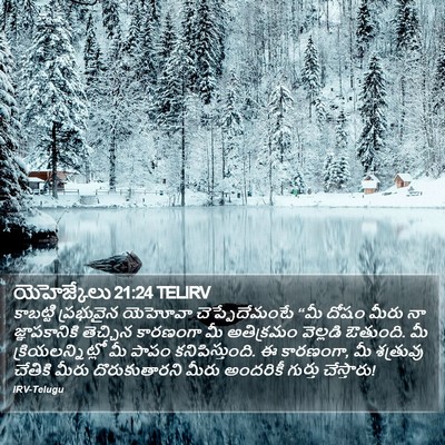 యెహెజ్కేలు 21:24 TELIRV Bible Verse Image