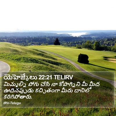 యెహెజ్కేలు 22:21 TELIRV Bible Verse Image