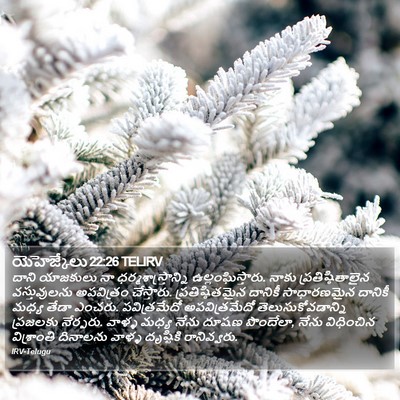 యెహెజ్కేలు 22:26 TELIRV Bible Verse Image