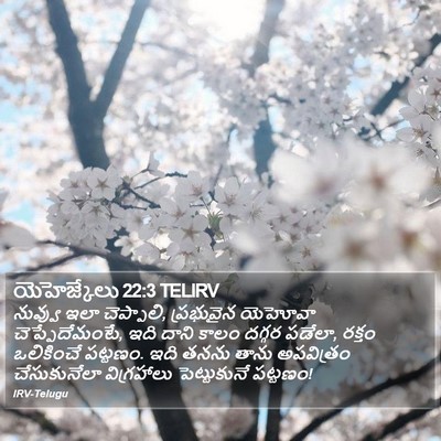 యెహెజ్కేలు 22:3 TELIRV Bible Verse Image