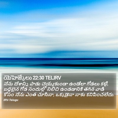 యెహెజ్కేలు 22:30 TELIRV Bible Verse Image