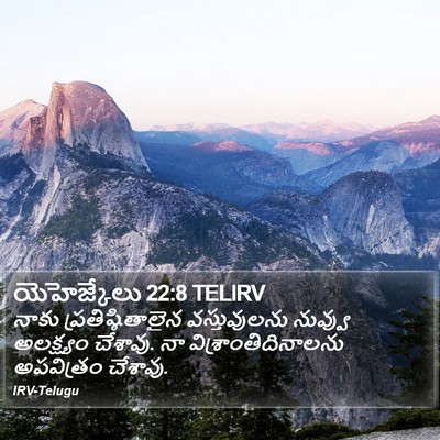 యెహెజ్కేలు 22:8 TELIRV Bible Verse Image