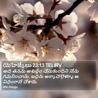 యెహెజ్కేలు 23:13 TELIRV Bible Verse Image