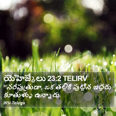 యెహెజ్కేలు 23:2 TELIRV Bible Verse Image