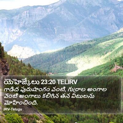 యెహెజ్కేలు 23:20 TELIRV Bible Verse Image