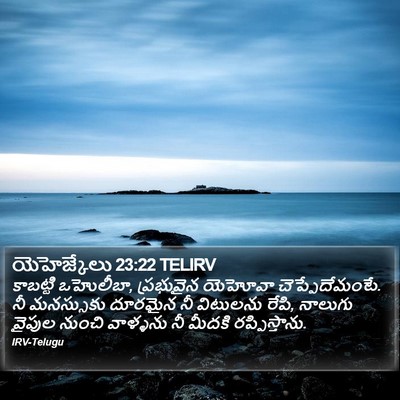 యెహెజ్కేలు 23:22 TELIRV Bible Verse Image