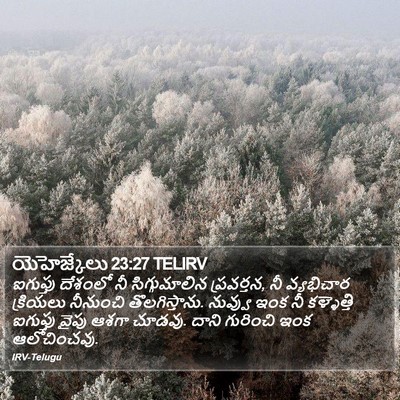 యెహెజ్కేలు 23:27 TELIRV Bible Verse Image