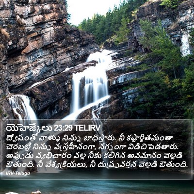 యెహెజ్కేలు 23:29 TELIRV Bible Verse Image