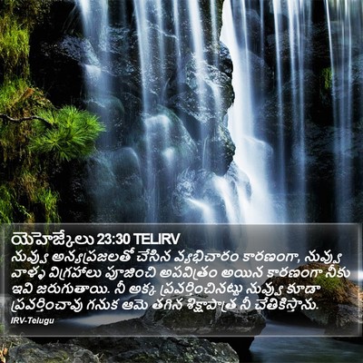యెహెజ్కేలు 23:30 TELIRV Bible Verse Image