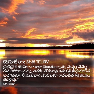 యెహెజ్కేలు 23:35 TELIRV Bible Verse Image