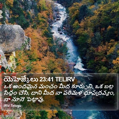 యెహెజ్కేలు 23:41 TELIRV Bible Verse Image