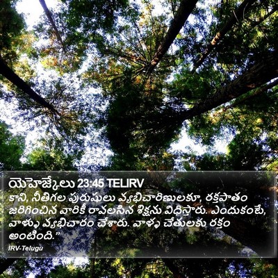 యెహెజ్కేలు 23:45 TELIRV Bible Verse Image