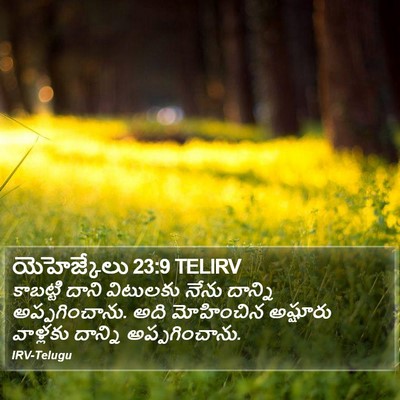 యెహెజ్కేలు 23:9 TELIRV Bible Verse Image