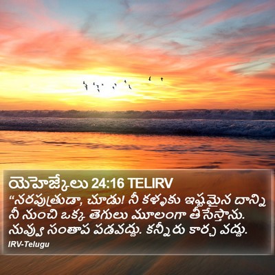 యెహెజ్కేలు 24:16 TELIRV Bible Verse Image