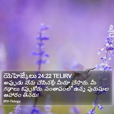 యెహెజ్కేలు 24:22 TELIRV Bible Verse Image