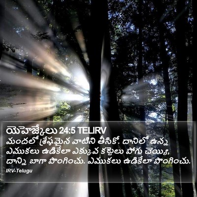 యెహెజ్కేలు 24:5 TELIRV Bible Verse Image