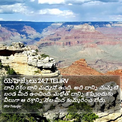యెహెజ్కేలు 24:7 TELIRV Bible Verse Image