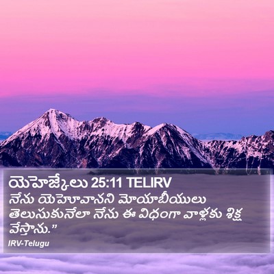 యెహెజ్కేలు 25:11 TELIRV Bible Verse Image