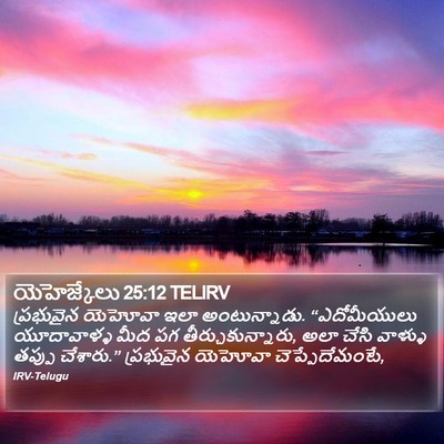 యెహెజ్కేలు 25:12 TELIRV Bible Verse Image