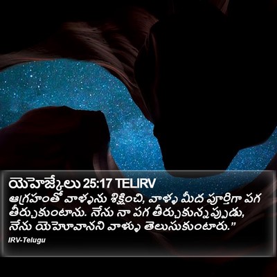 యెహెజ్కేలు 25:17 TELIRV Bible Verse Image