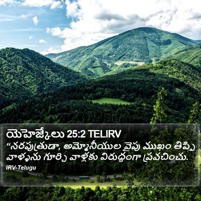 యెహెజ్కేలు 25:2 TELIRV Bible Verse Image