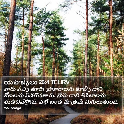 యెహెజ్కేలు 26:4 TELIRV Bible Verse Image